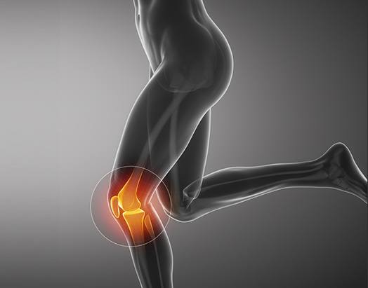 Knee Service at Benjamin Young, M.D. Orthopedic Surgeon Adult Hip & Knee Joint Reconstruction